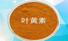 什么是葉黃素？哪些蔬菜富含葉黃素？