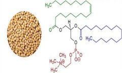 大豆異黃酮對人體有什么好處 什么食物含量多？