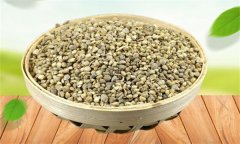 菠菜生長(cháng)發(fā)育的過(guò)程是怎樣的？
