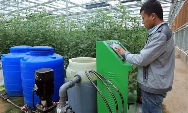 施用二氧化碳氣體肥應注意的問(wèn)題